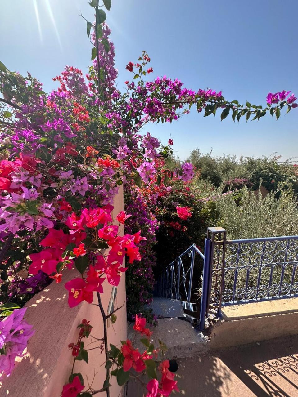 Villa Ms Holidays Mika Privatisee Marrakech Marrakesh Exterior photo