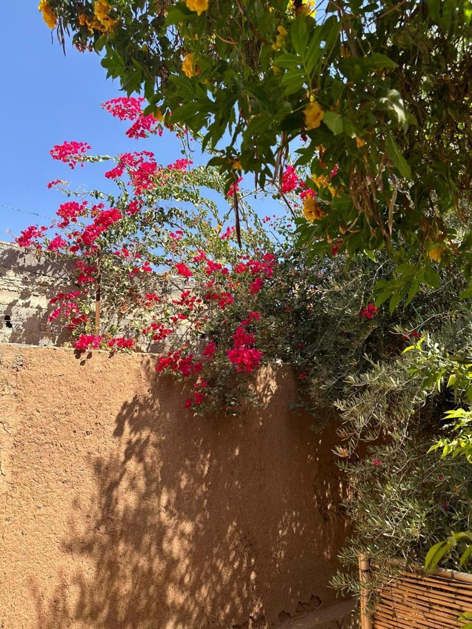 Villa Ms Holidays Mika Privatisee Marrakech Marrakesh Exterior photo